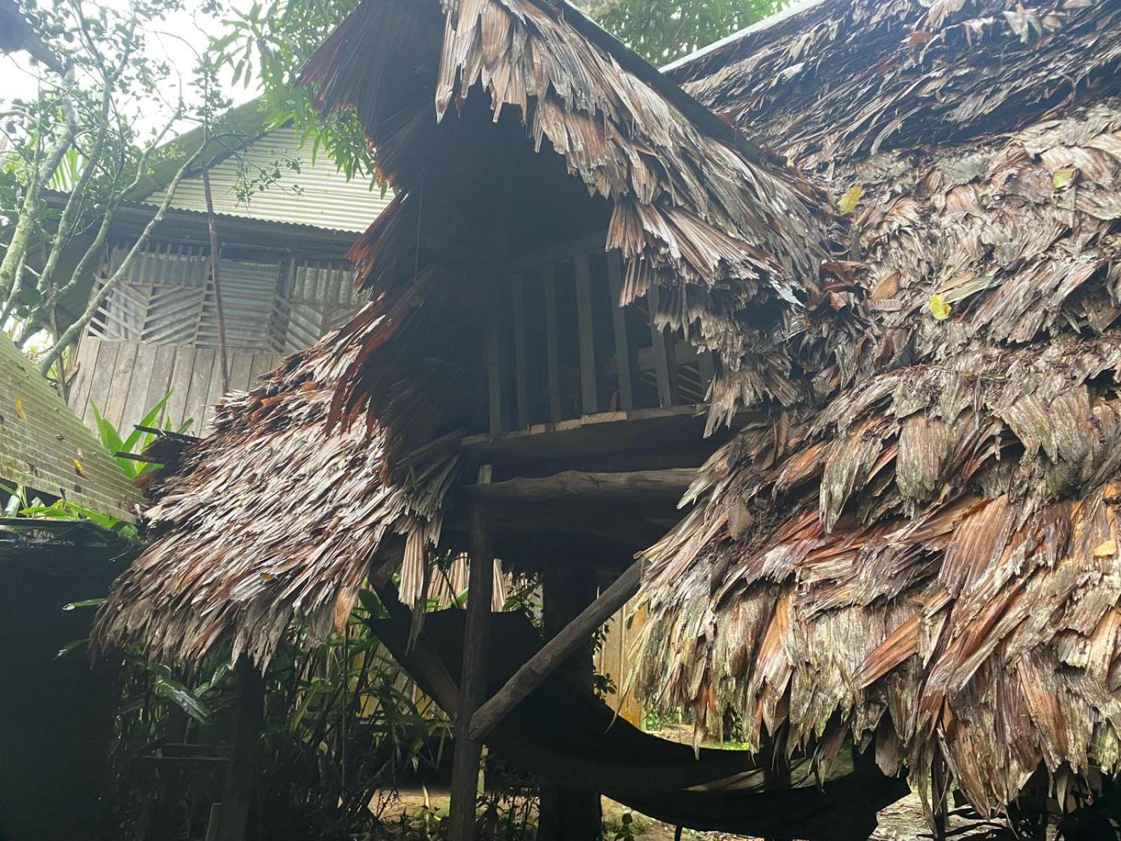Xingu Camping Site Leticia Dış mekan fotoğraf