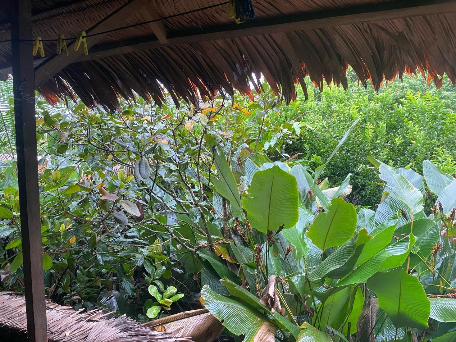 Xingu Camping Site Leticia Dış mekan fotoğraf