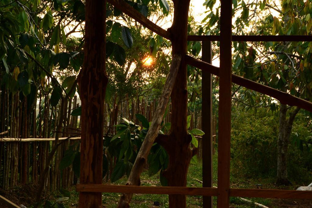 Xingu Camping Site Leticia Dış mekan fotoğraf
