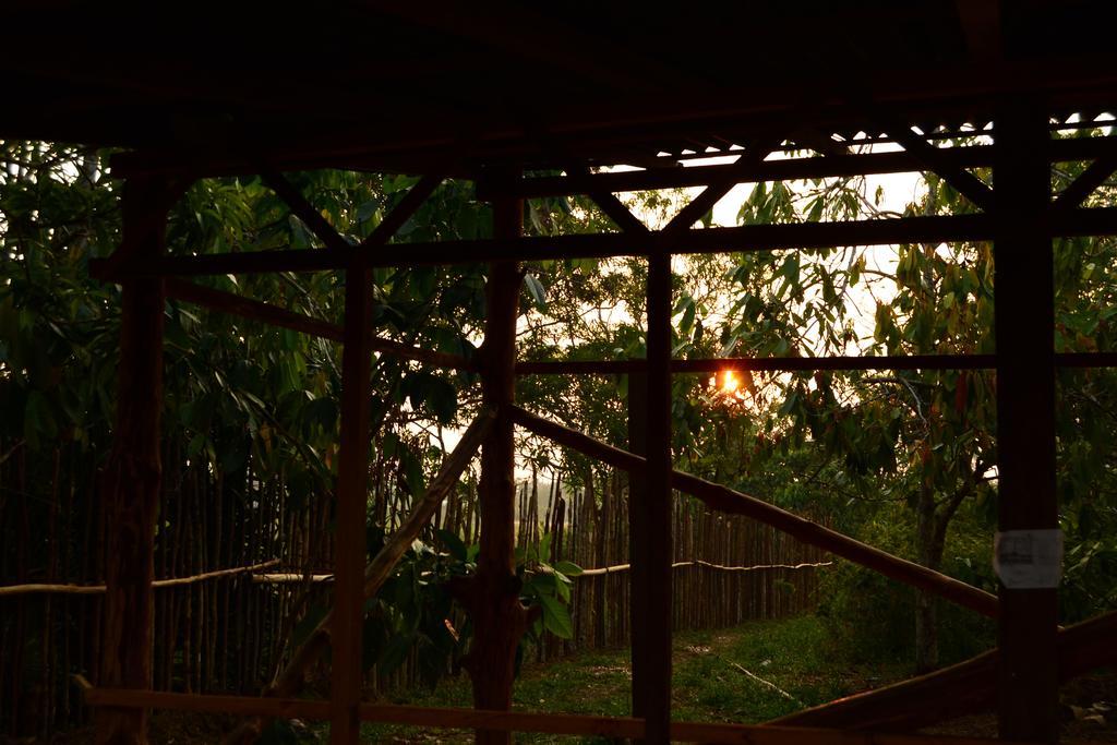 Xingu Camping Site Leticia Dış mekan fotoğraf