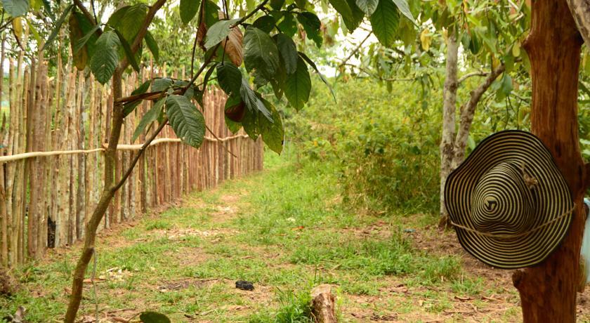 Xingu Camping Site Leticia Oda fotoğraf