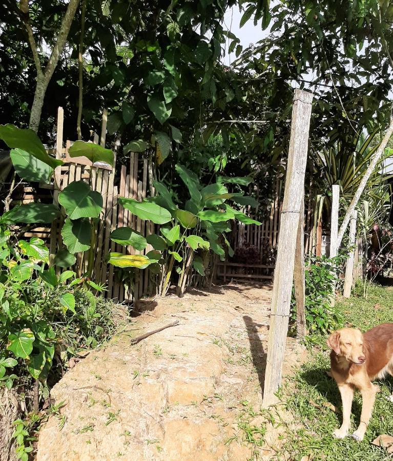Xingu Camping Site Leticia Dış mekan fotoğraf